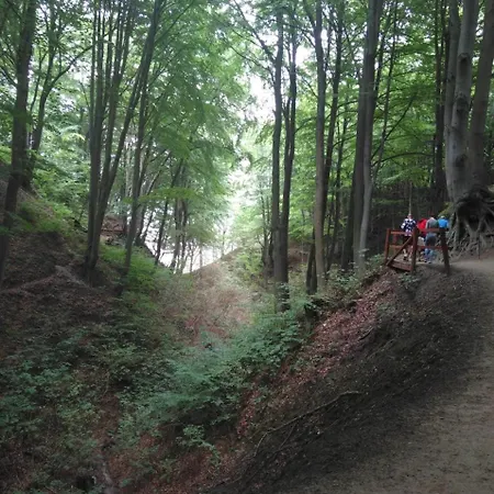 Lodge Apartdomek7b Jasne Wybrzeze - Nowy I Luksusowy *