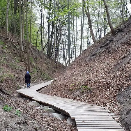 Lodge Apartdomek7b Jasne Wybrzeze - Nowy I Luksusowy Jastrzębia Góra