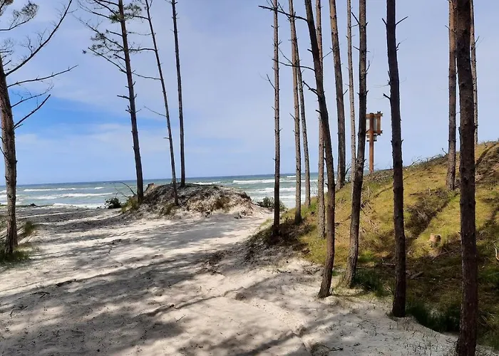 山林小屋 Apartdomek7b Jasne Wybrzeze - Nowy I Luksusowy Jastrzębia Góra