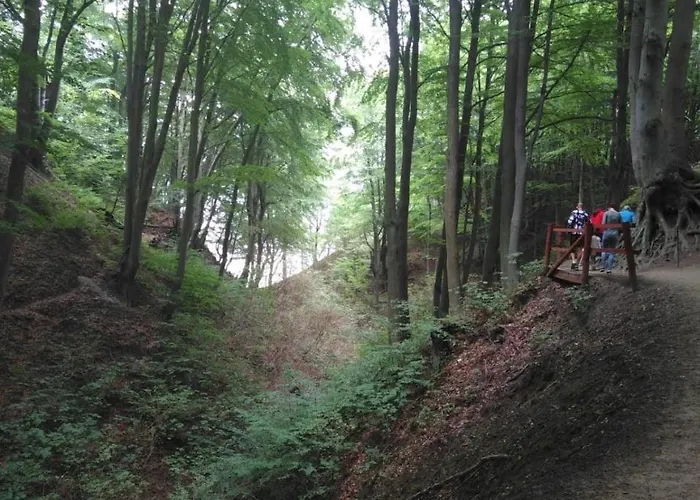 山林小屋 Apartdomek7b Jasne Wybrzeze - Nowy I Luksusowy *