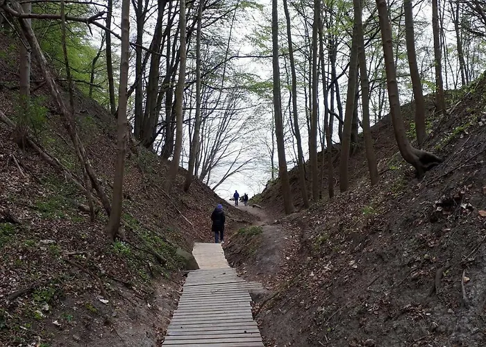 山林小屋 Apartdomek7b Jasne Wybrzeze - Nowy I Luksusowy