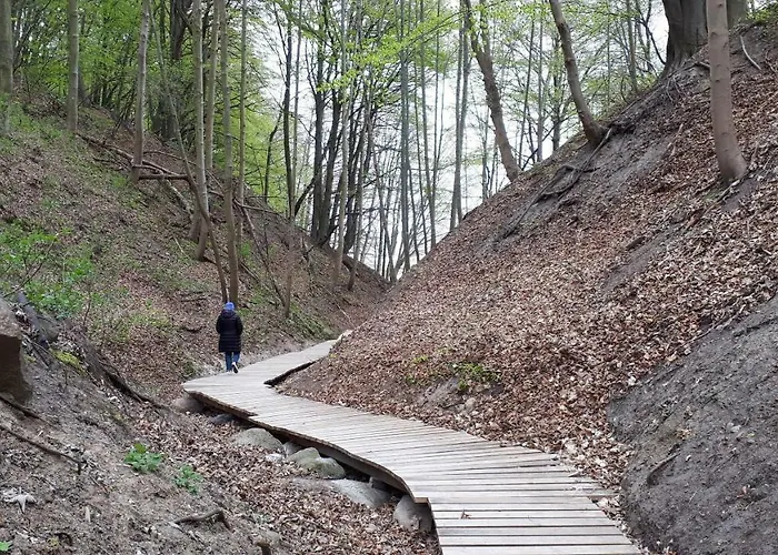 山林小屋 Apartdomek7b Jasne Wybrzeze - Nowy I Luksusowy Jastrzębia Góra