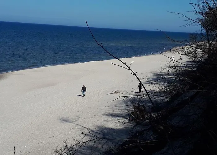 Apartdomek7b Jasne Wybrzeze - Nowy I Luksusowy 山林小屋 *