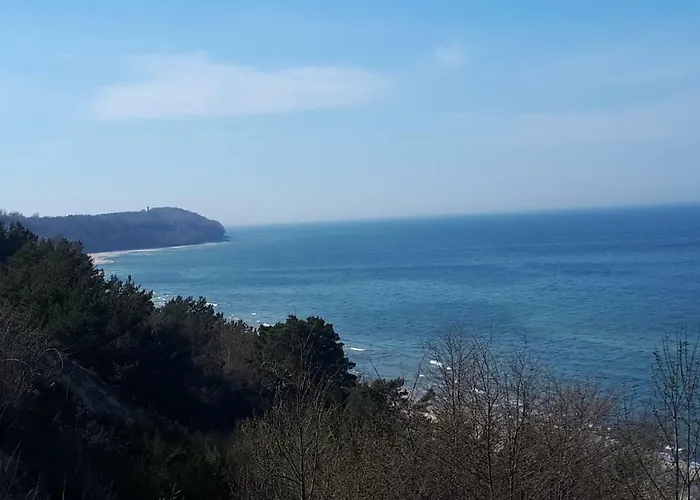 Apartdomek7b Jasne Wybrzeze - Nowy I Luksusowy 山林小屋 Jastrzębia Góra